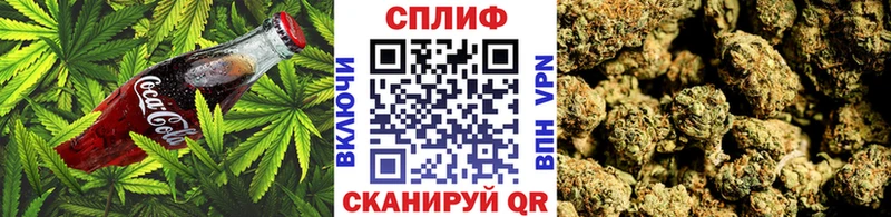 Cannafood конопля Купить где Багратионовск