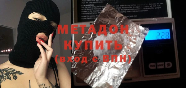 индика Каменногорск