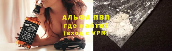 индика Каменногорск