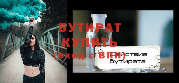индика Каменногорск