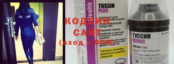 индика Каменногорск