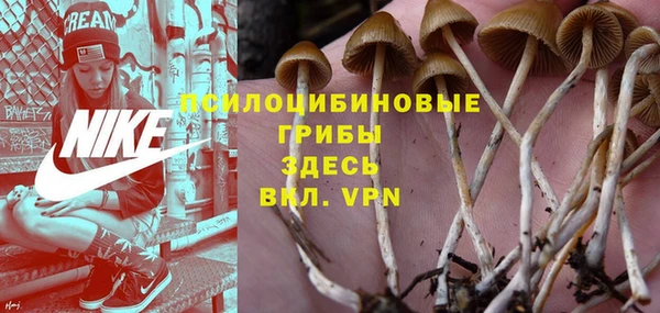 индика Киреевск