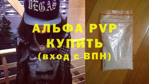 индика Каменногорск