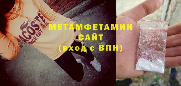 индика Каменногорск