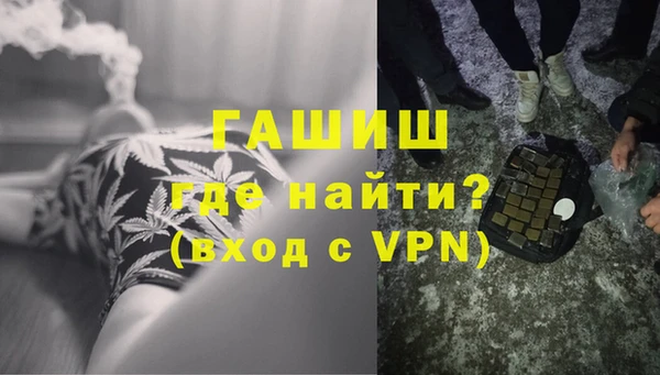 индика Киреевск