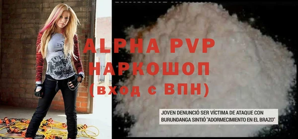 индика Каменногорск