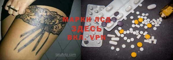 гидра Киренск