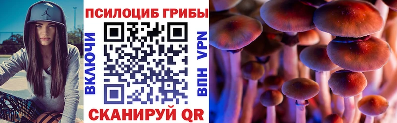 Галлюциногенные грибы Cubensis  Купить где  Багратионовск 